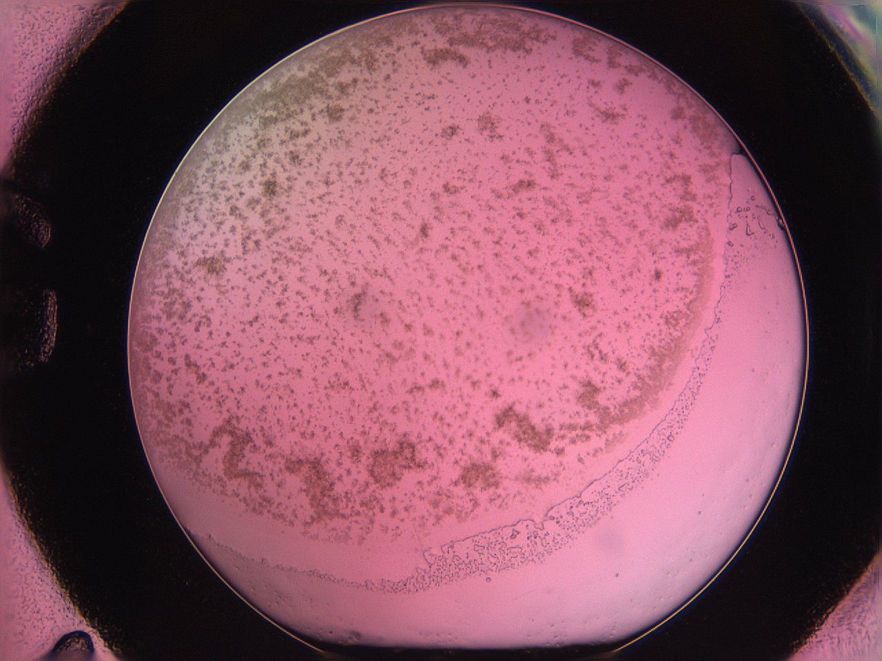 061o_G11_ImagerDefaults_3.jpg