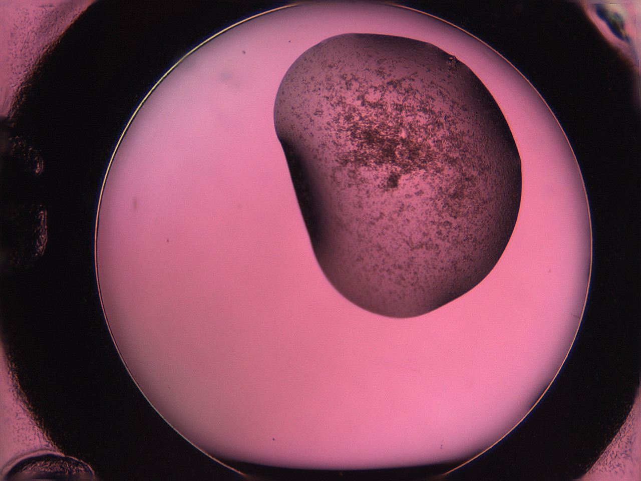 061o_G12_ImagerDefaults_3.jpg
