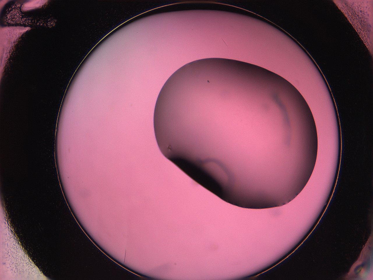061o_G12_ImagerDefaults_0.jpg