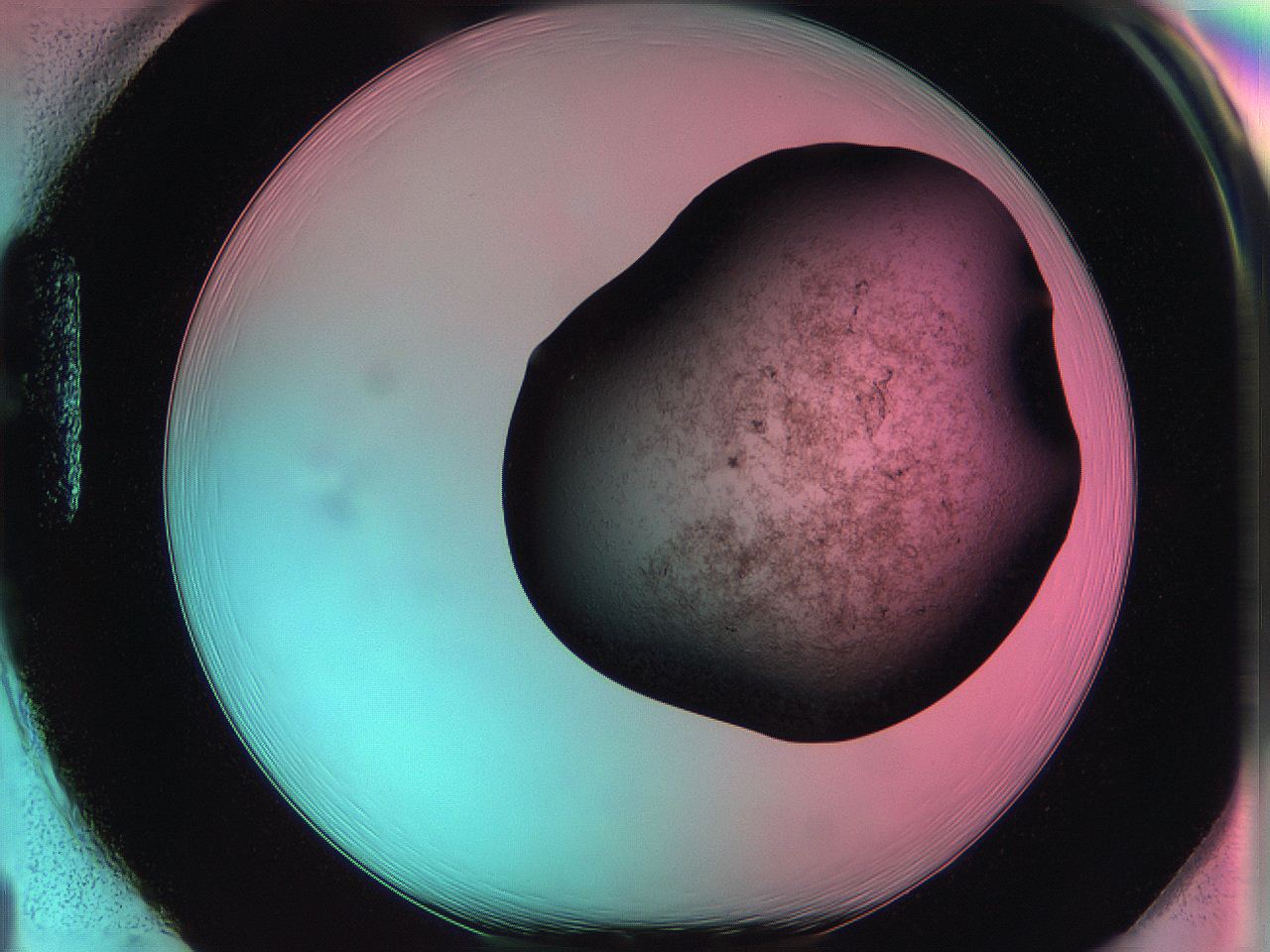 061o_H1_ImagerDefaults_3.jpg