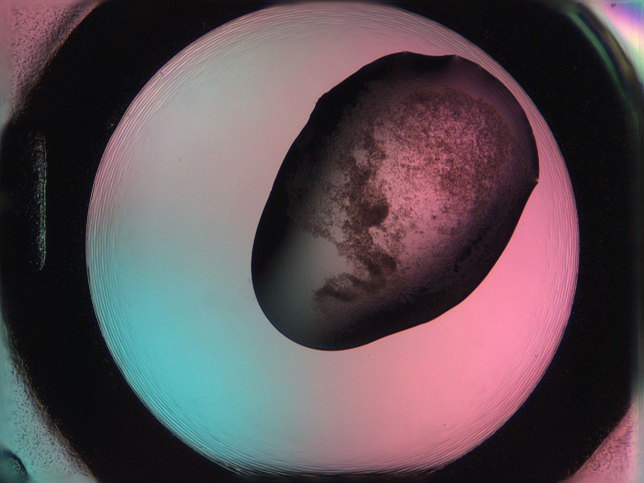 061o_H2_ImagerDefaults_3.jpg