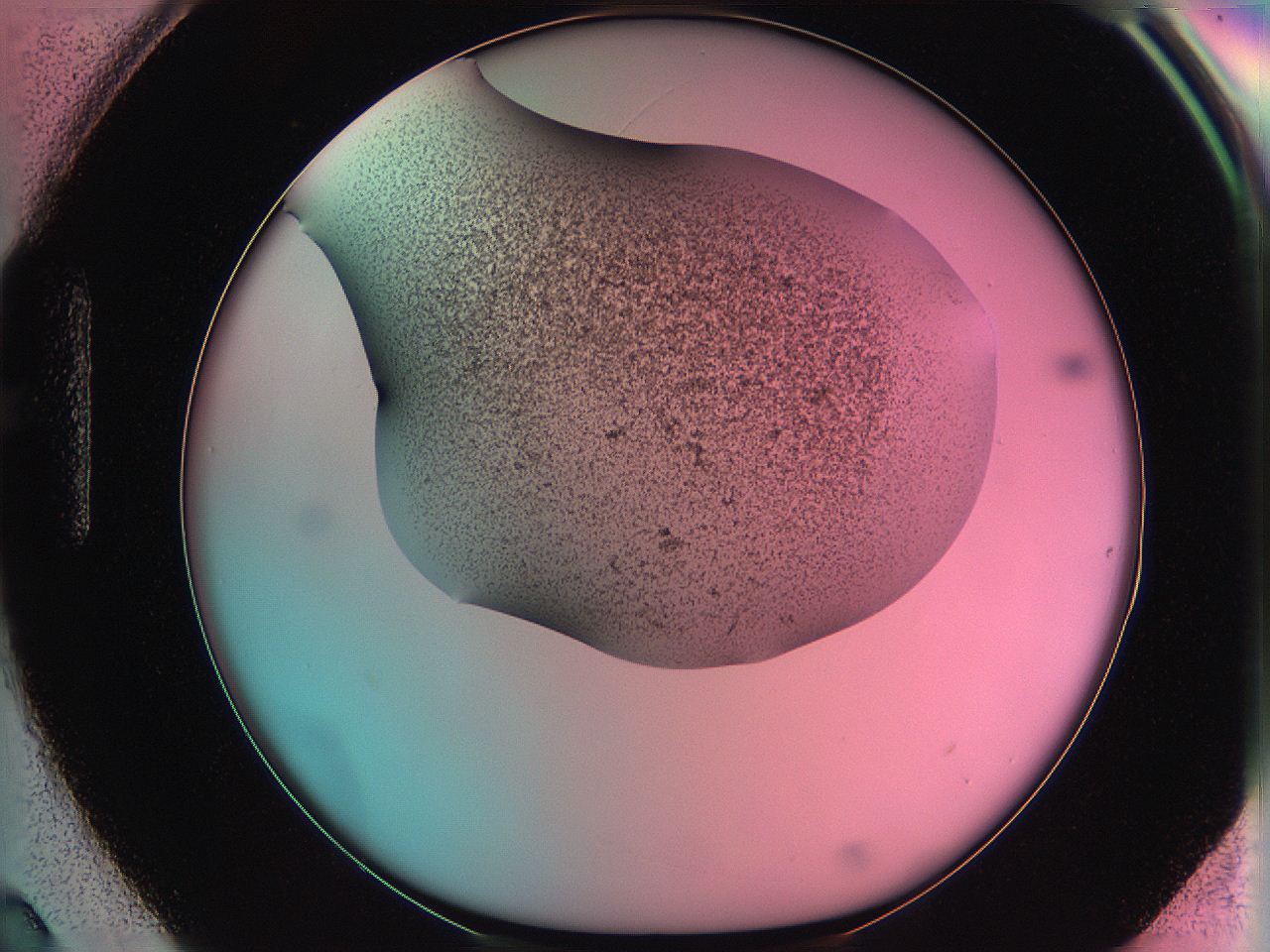 061o_H3_ImagerDefaults_3.jpg