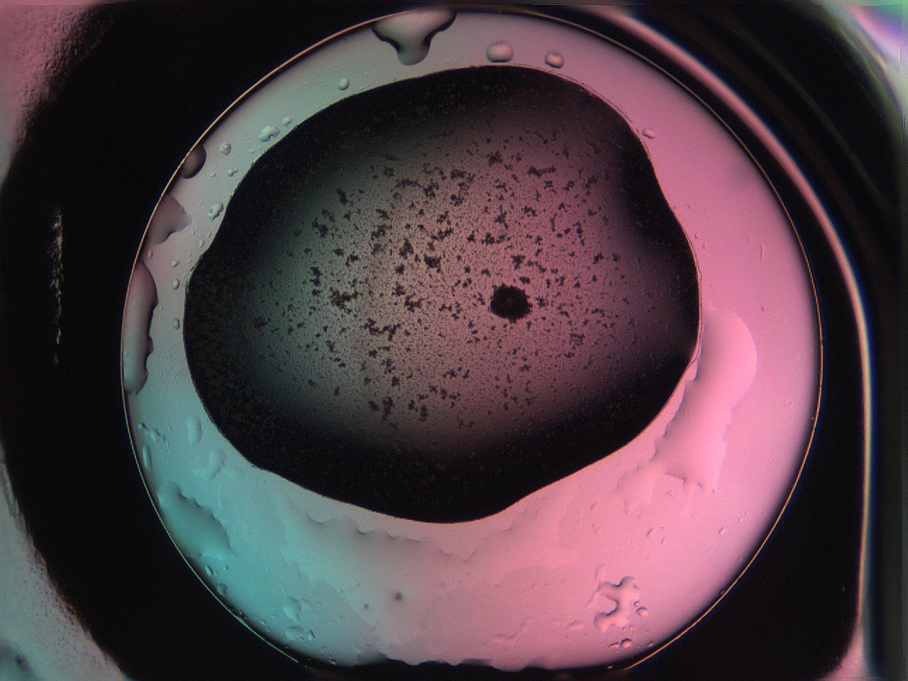 061o_H4_ImagerDefaults_3.jpg