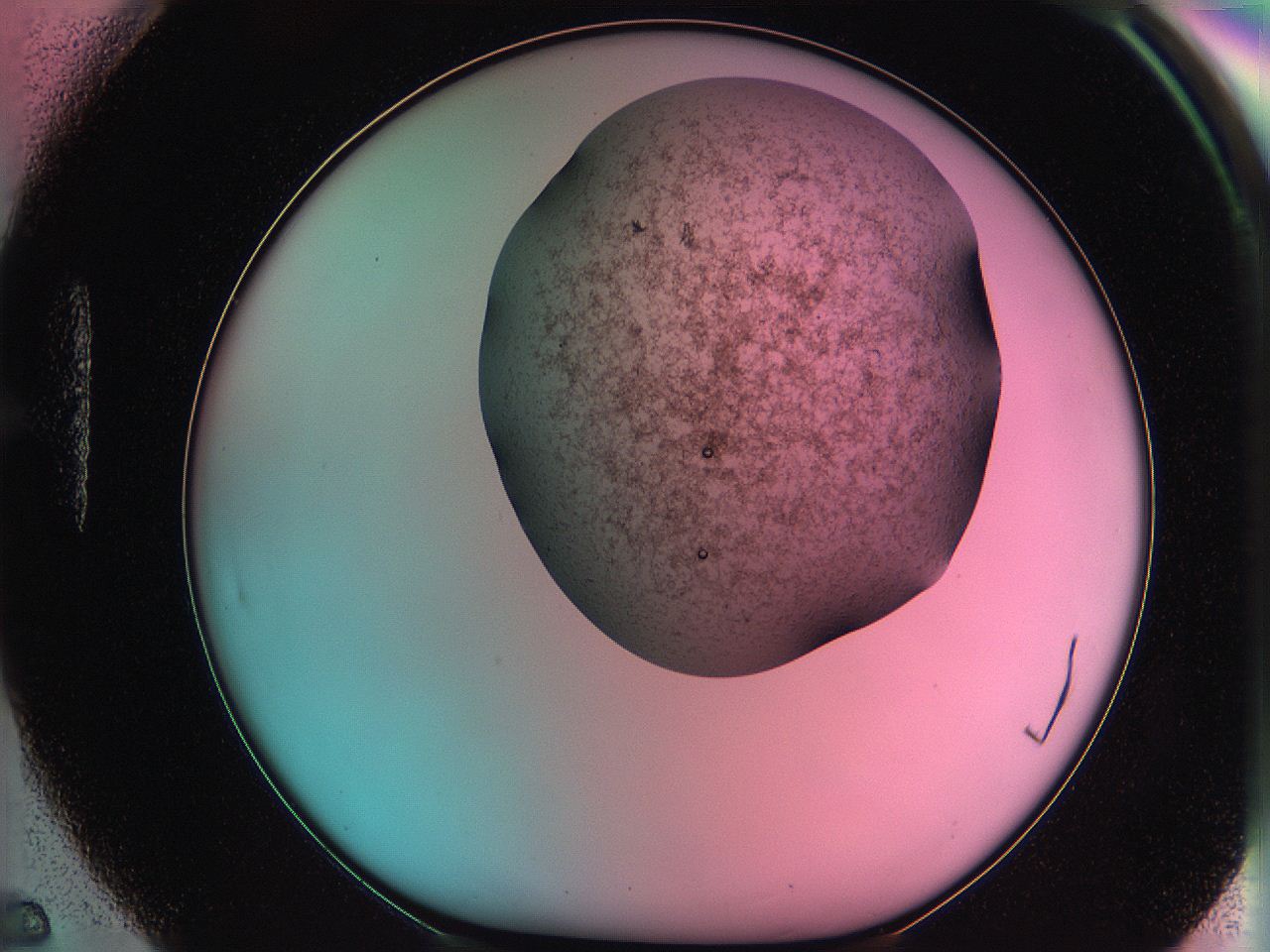 061o_H5_ImagerDefaults_3.jpg