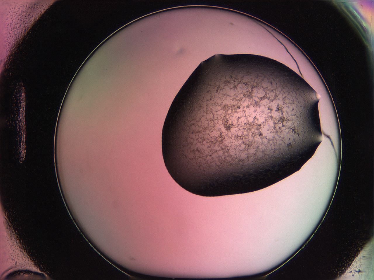 061o_H10_ImagerDefaults_3.jpg