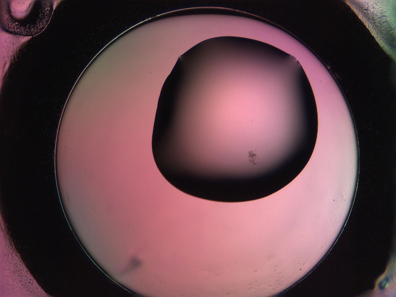 061o_H10_ImagerDefaults_0.jpg
