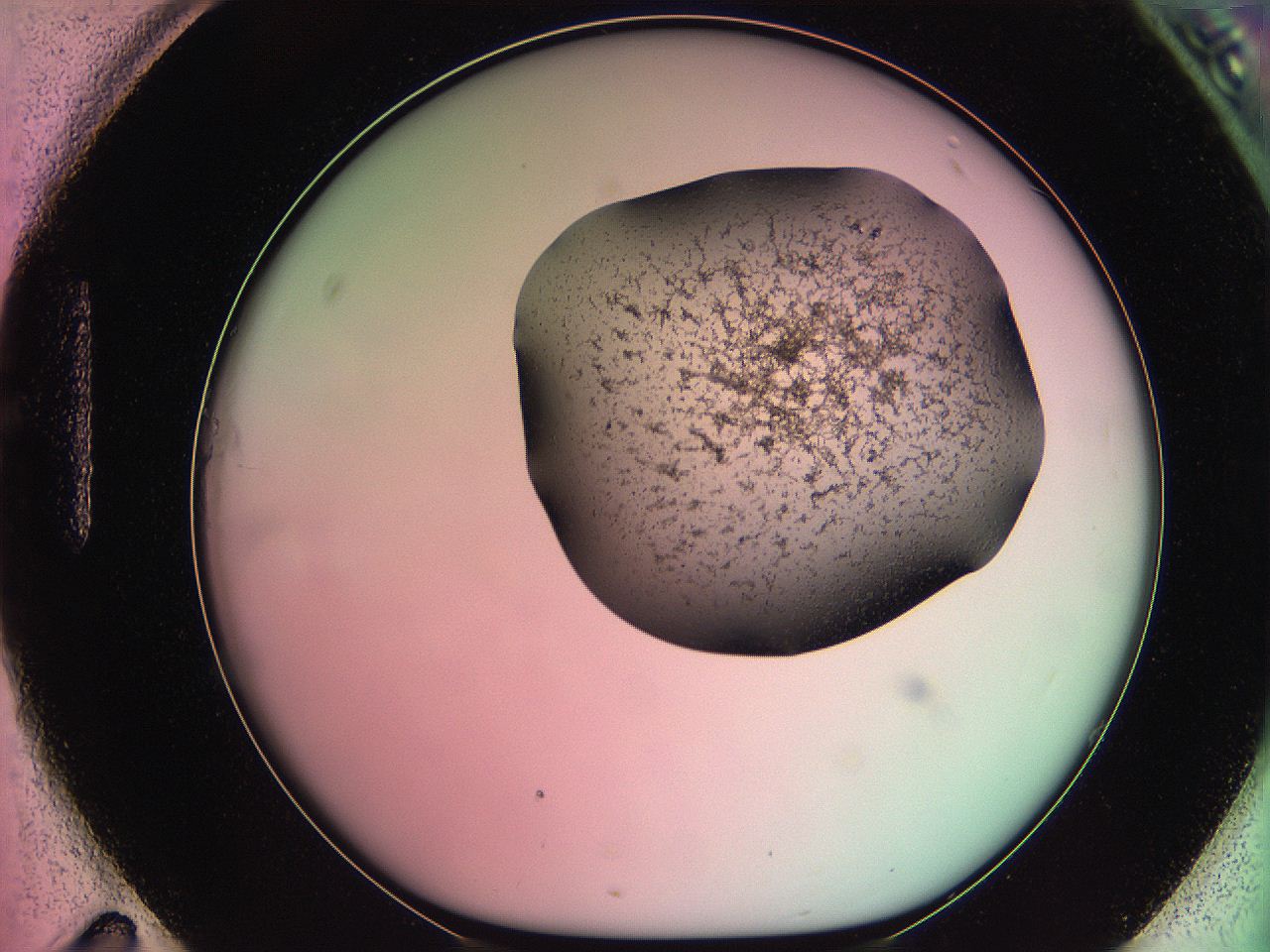 061o_H11_ImagerDefaults_3.jpg