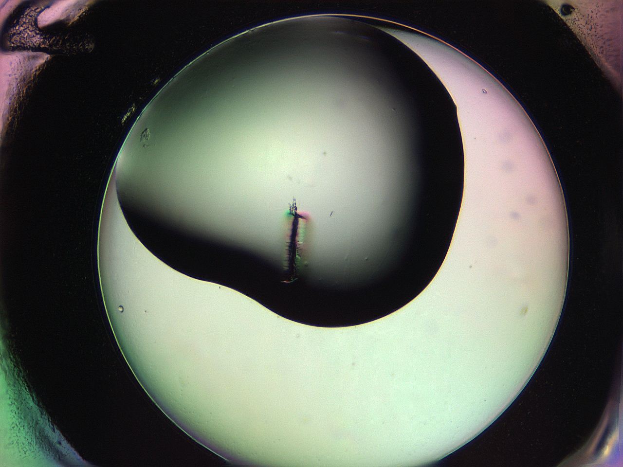 061o_H12_ImagerDefaults_0.jpg