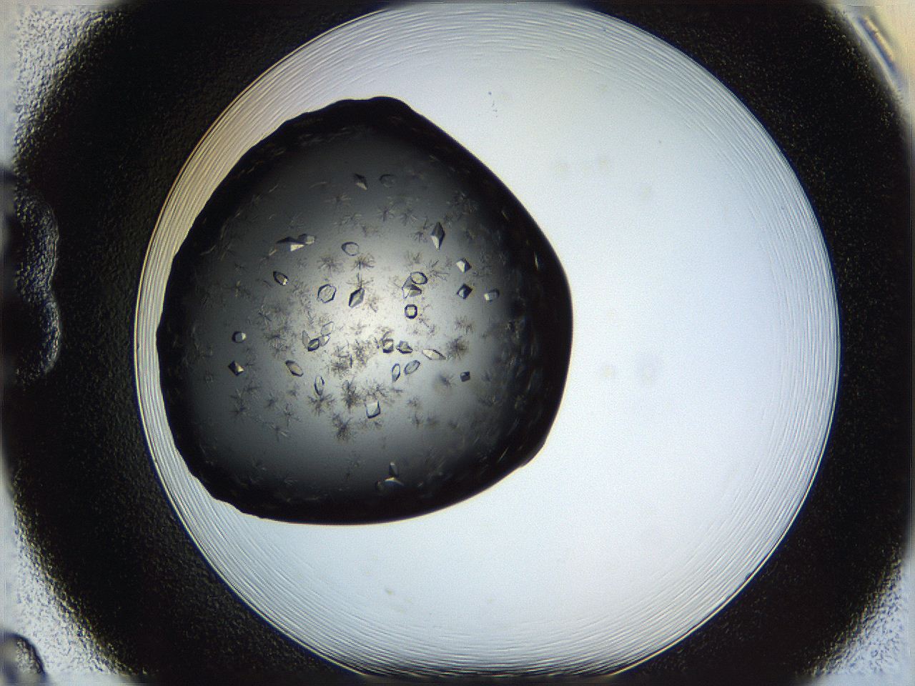 061s_B8_ImagerDefaults_8.jpg