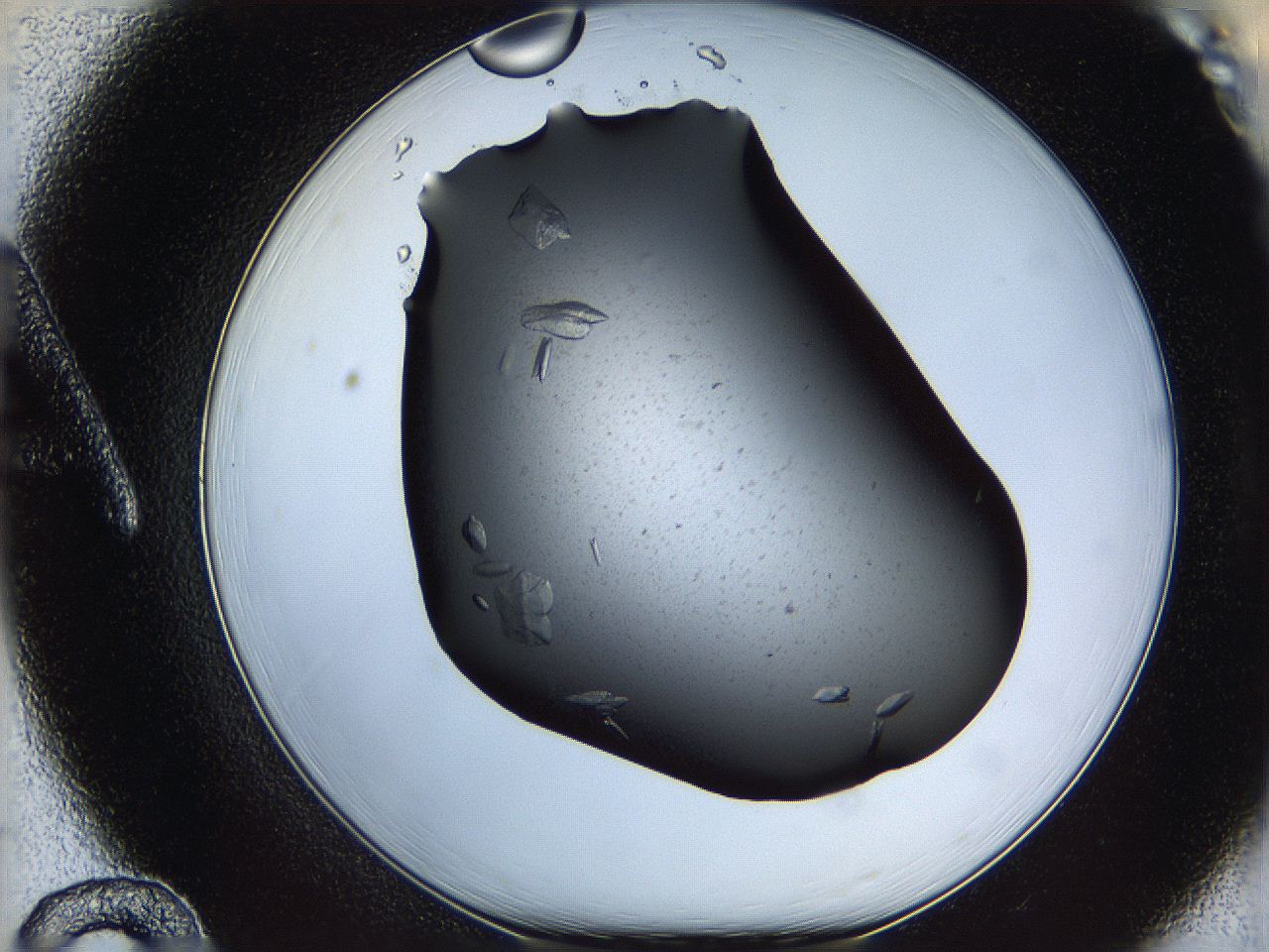 061s_A12_ImagerDefaults_8.jpg