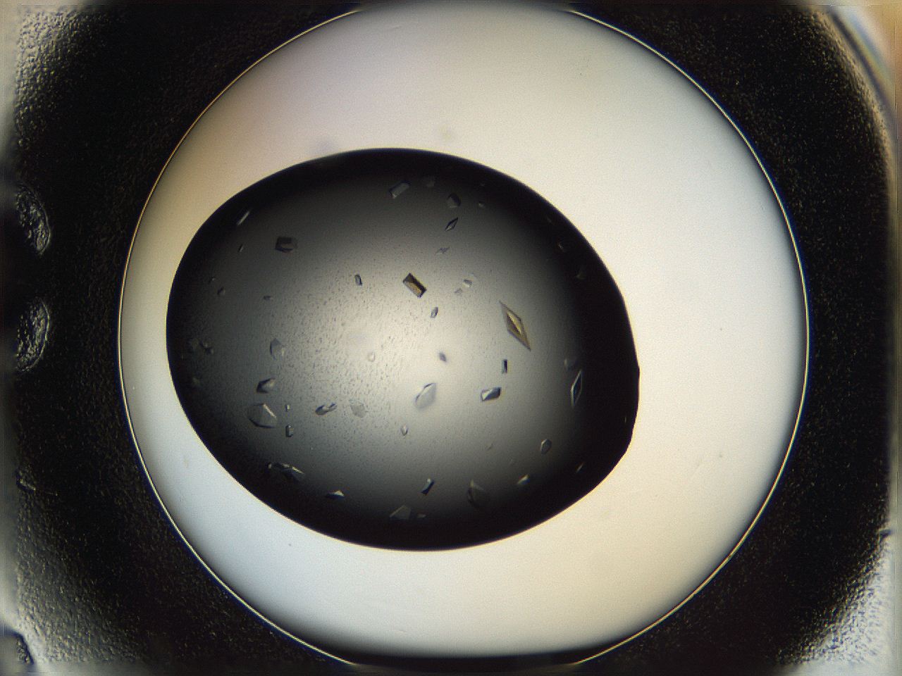 061s_C3_ImagerDefaults_8.jpg