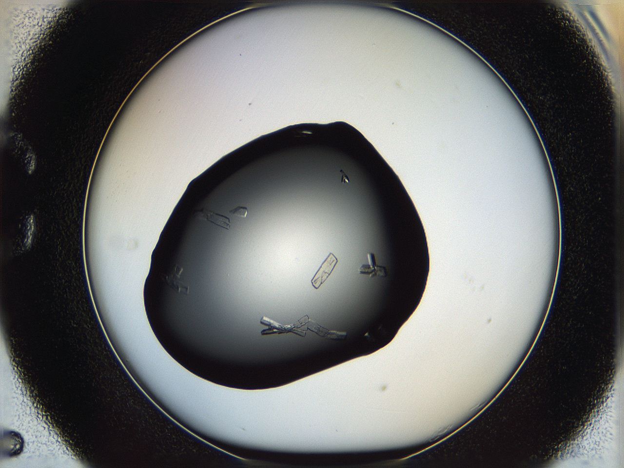 061s_C5_ImagerDefaults_8.jpg