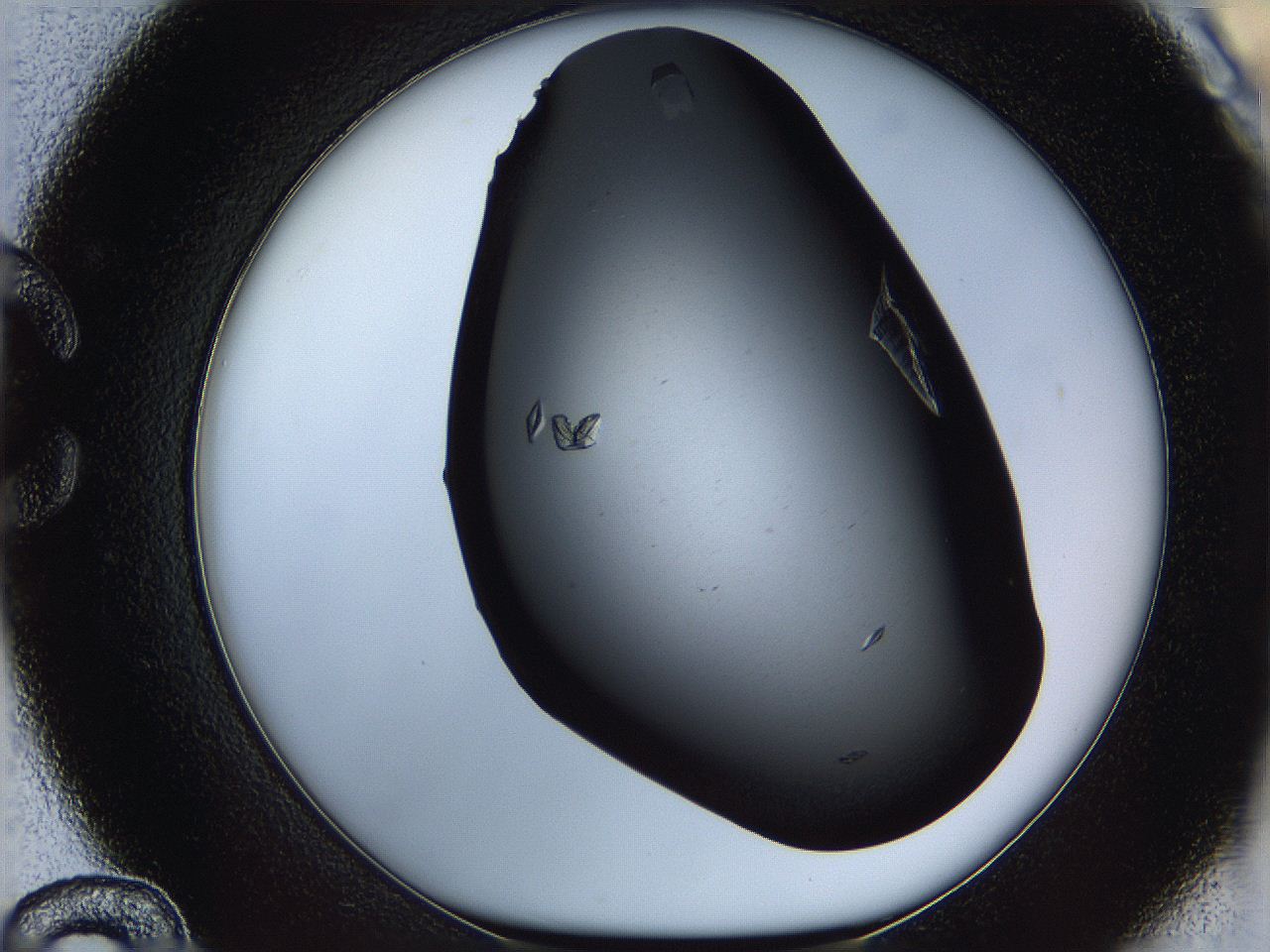 061s_C12_ImagerDefaults_8.jpg