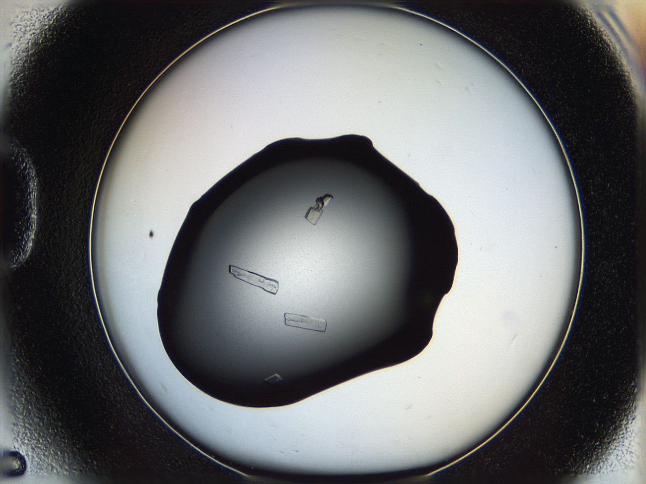 061s_D5_ImagerDefaults_8.jpg