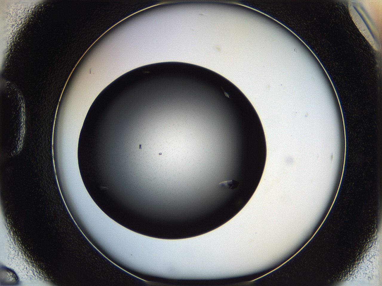 061s_D6_ImagerDefaults_8.jpg