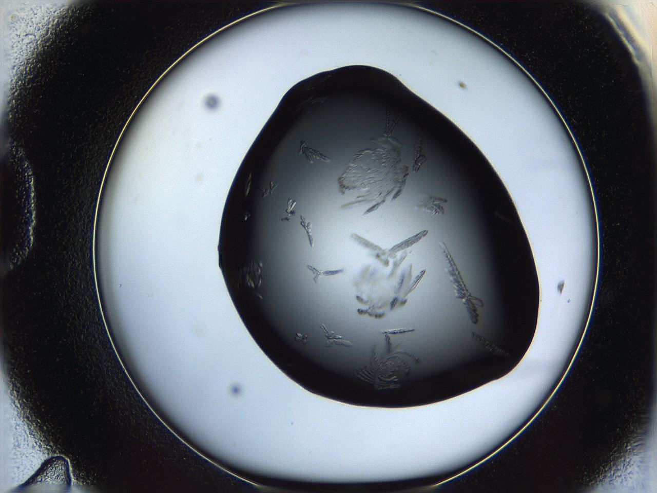 061s_D11_ImagerDefaults_9.jpg