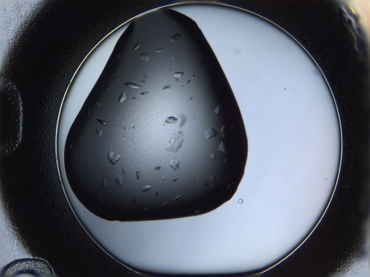 061s_D12_ImagerDefaults_8.jpg