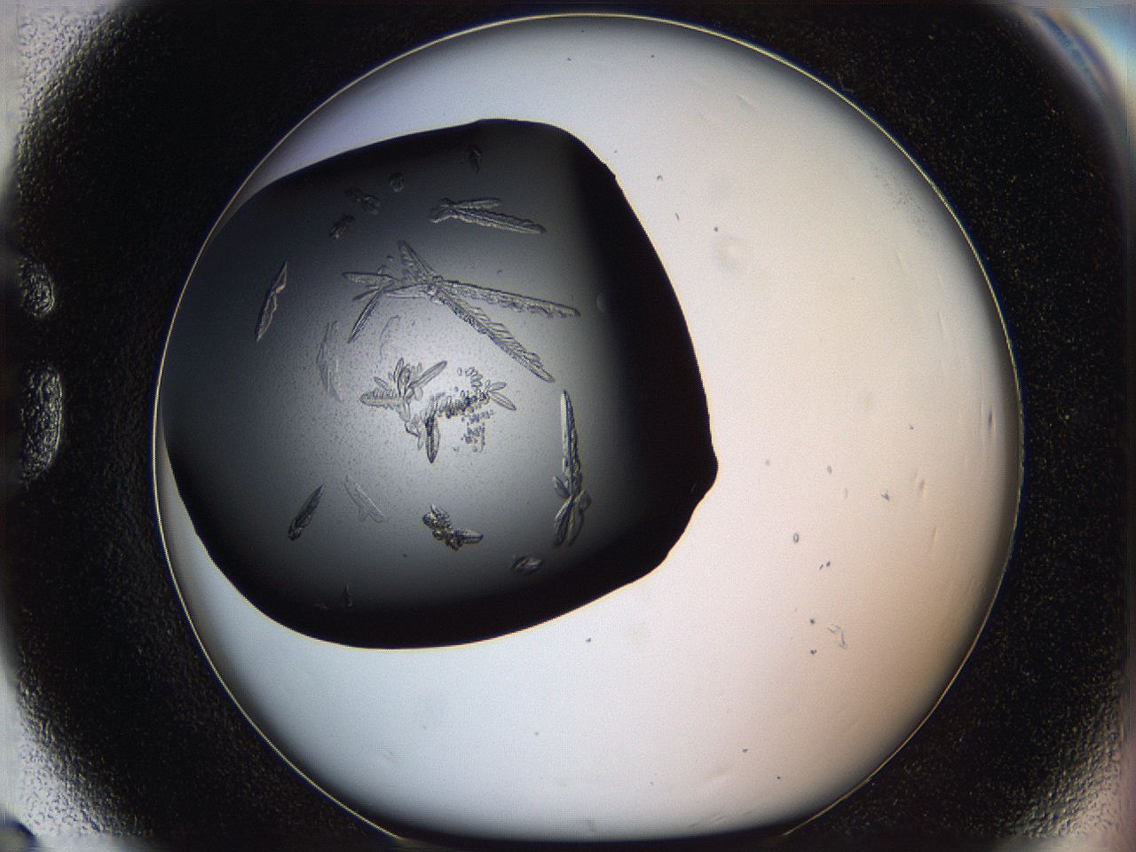 061s_G8_ImagerDefaults_8.jpg