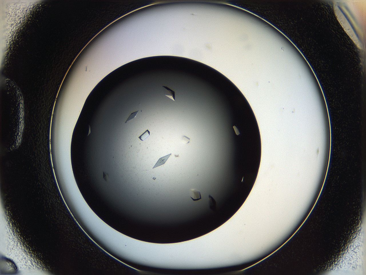 061u_D6_ImagerDefaults_9.jpg