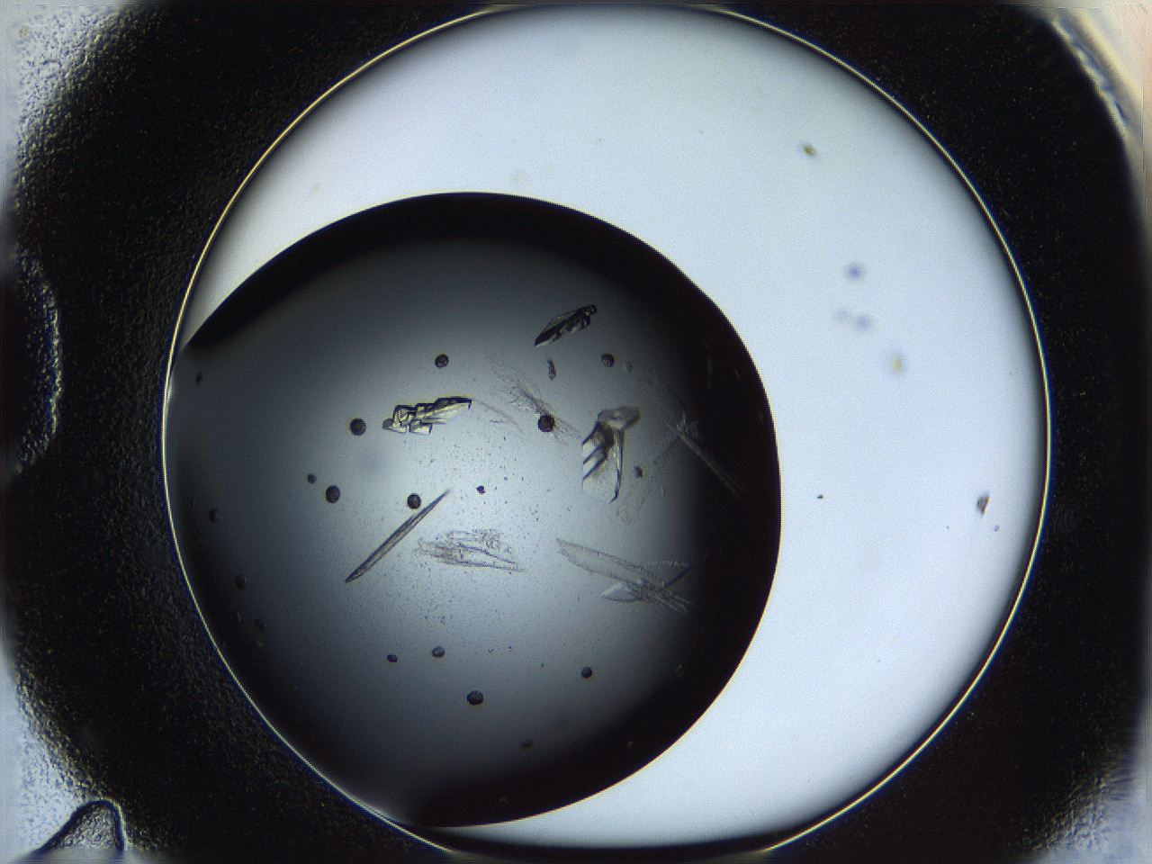 061u_D11_ImagerDefaults_8.jpg