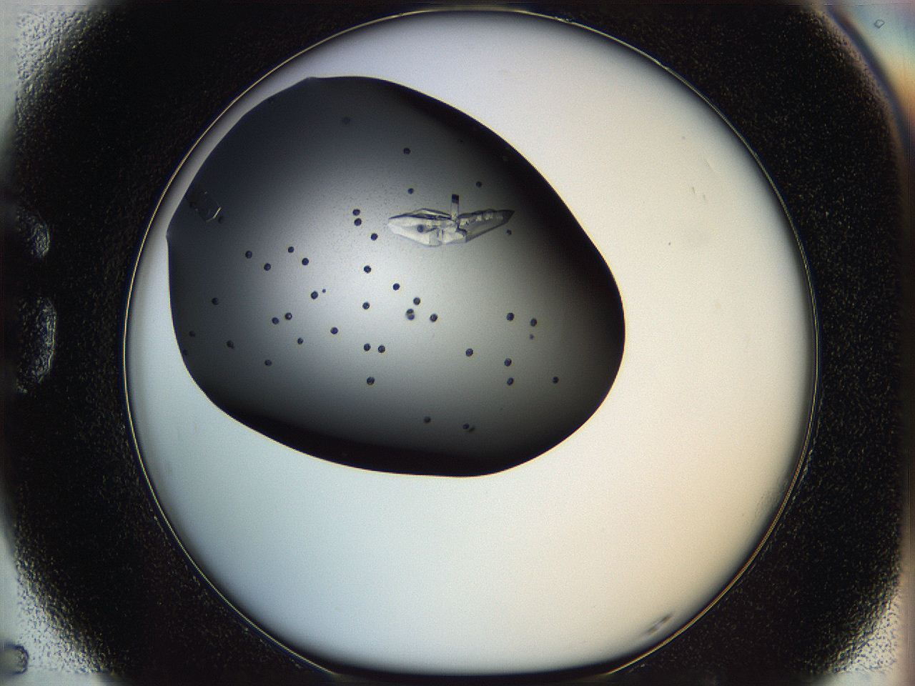 061u_G5_ImagerDefaults_9.jpg