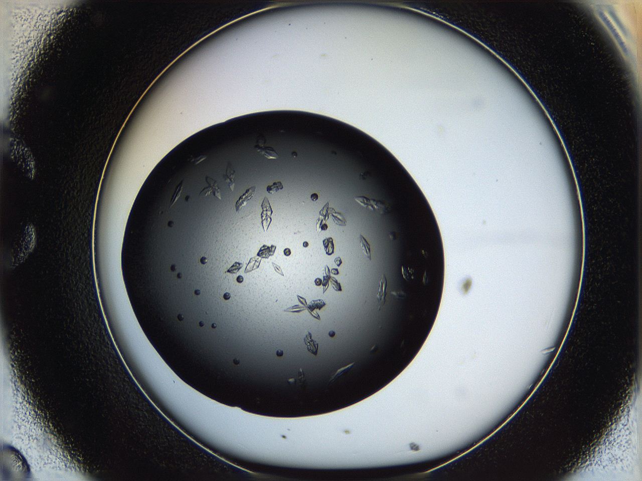 061u_C8_ImagerDefaults_7.jpg
