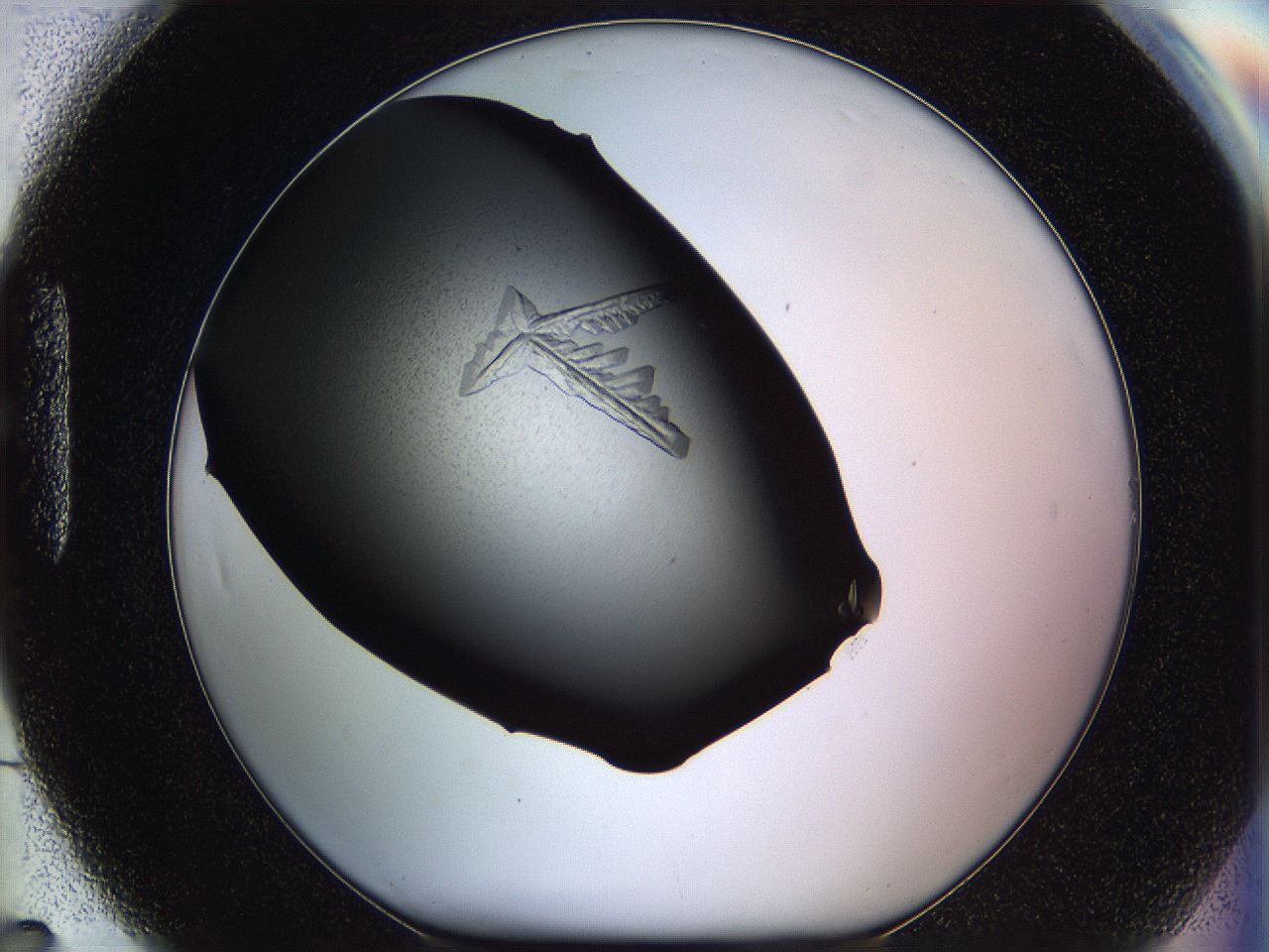 061u_H7_ImagerDefaults_8.jpg