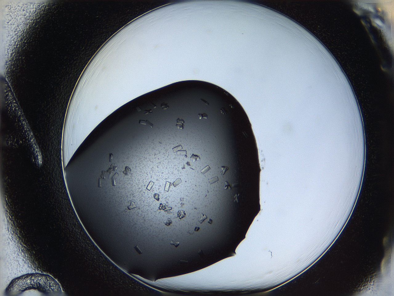 061u_A12_ImagerDefaults_8.jpg