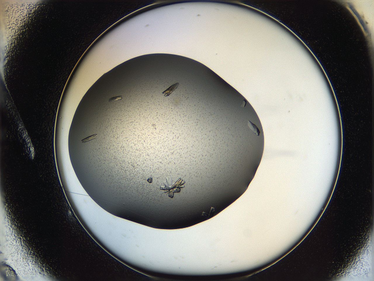 061u_A9_ImagerDefaults_8.jpg