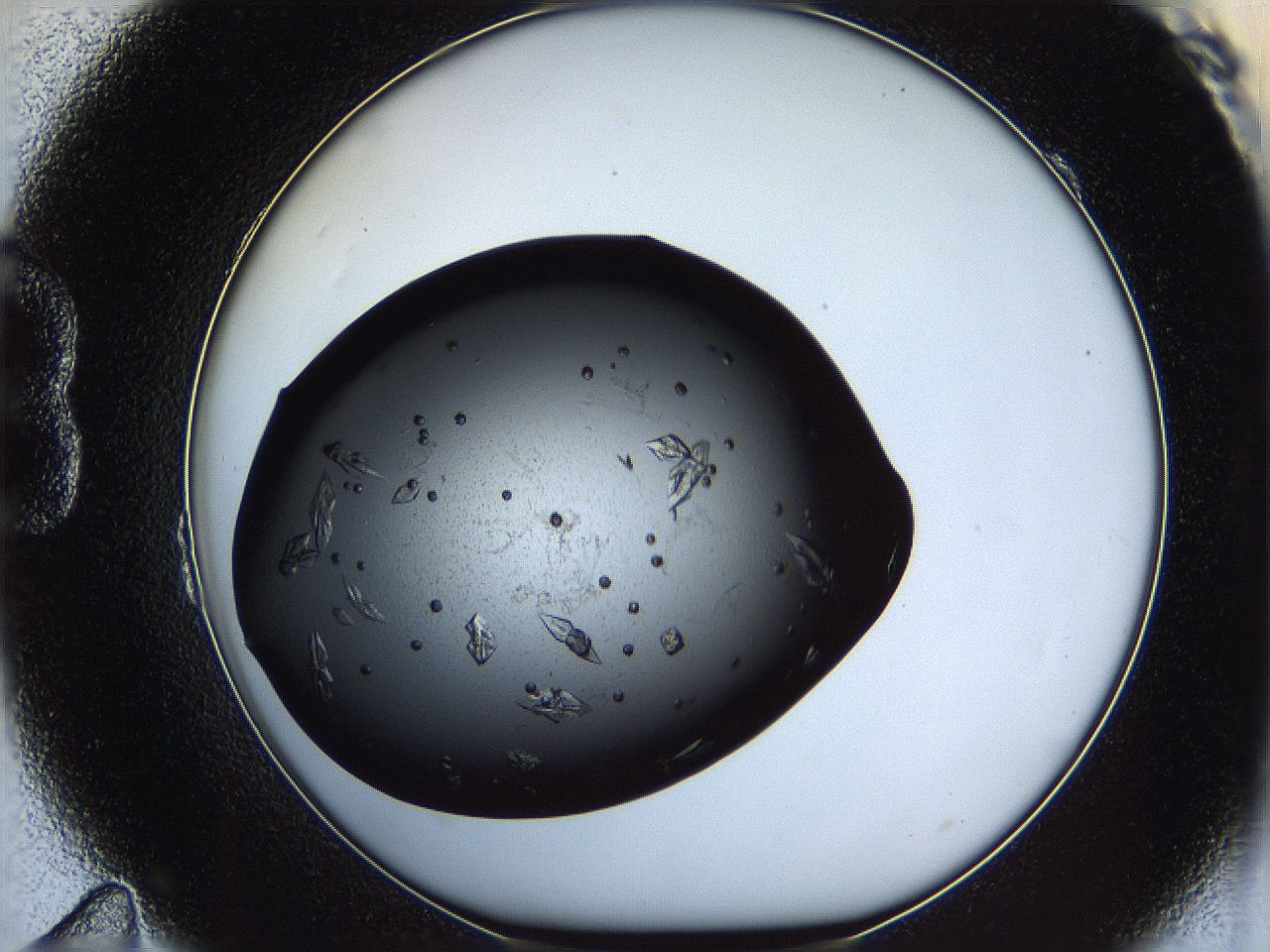 061u_B11_ImagerDefaults_8.jpg