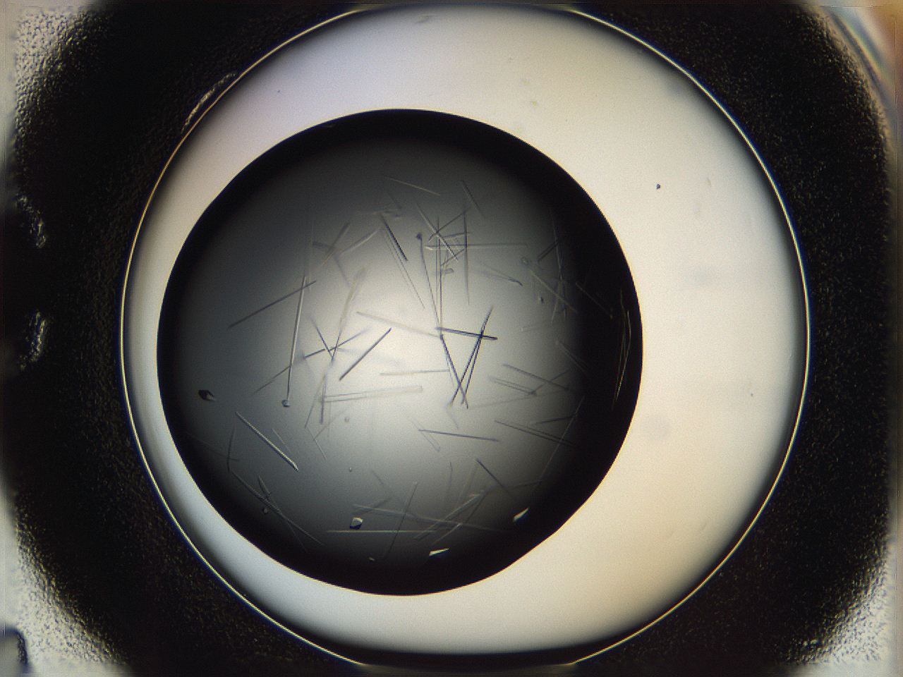 061v_C4_ImagerDefaults_8.jpg