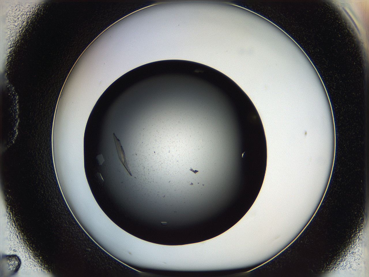 061v_D7_ImagerDefaults_8.jpg