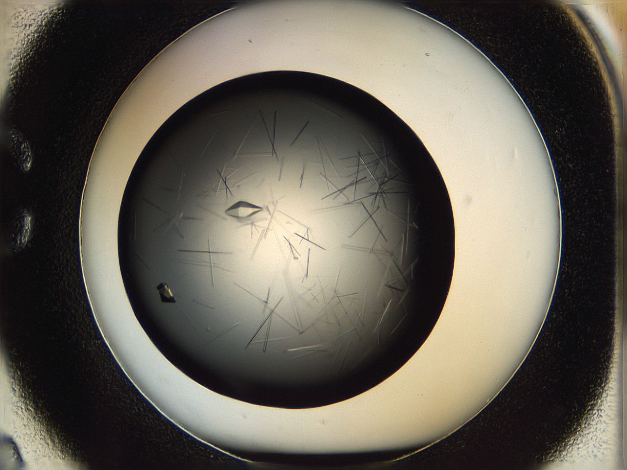 061v_C2_ImagerDefaults_9.jpg