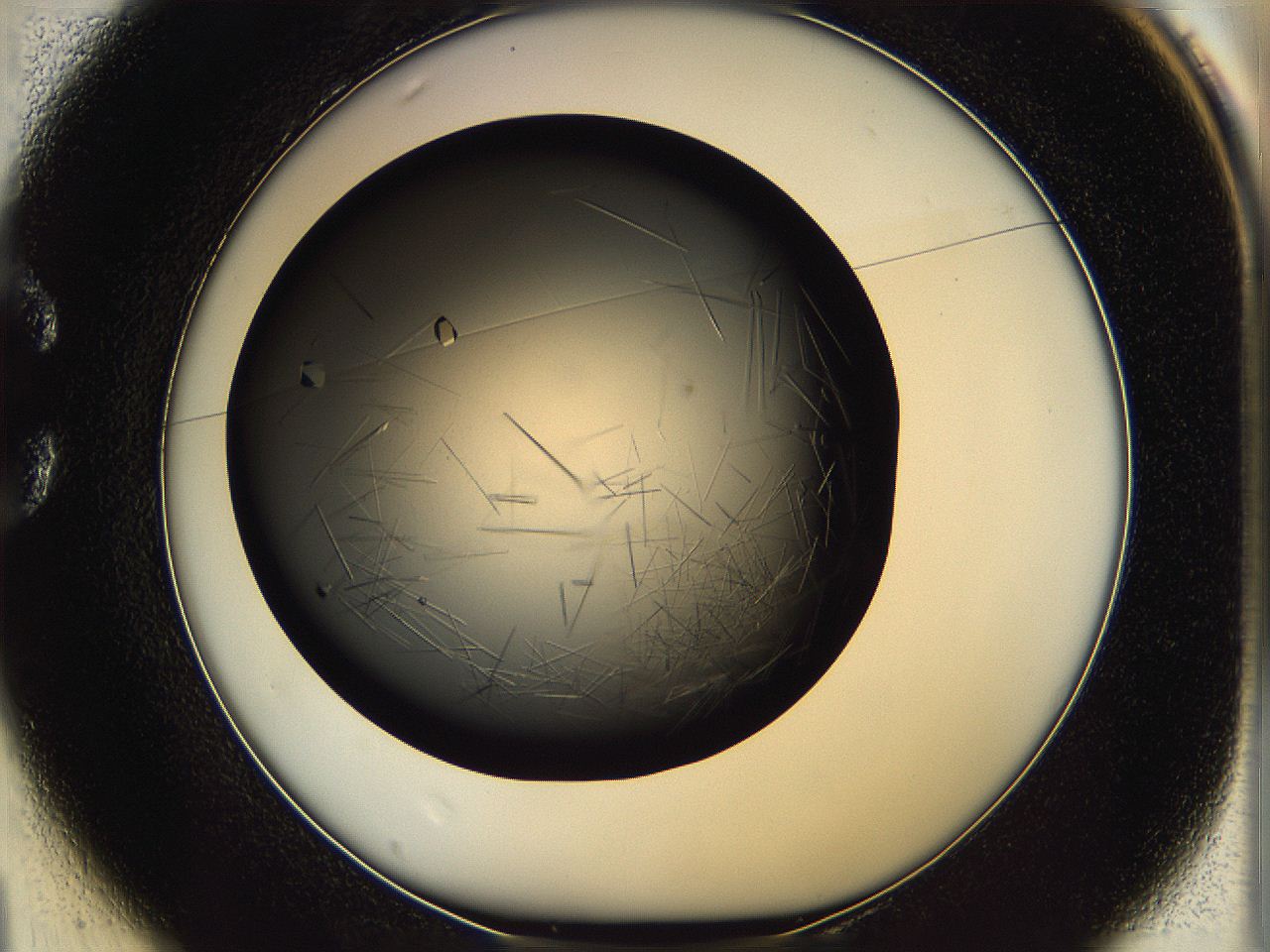 061v_C1_ImagerDefaults_8.jpg
