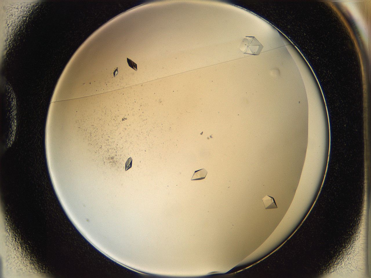 061v_D1_ImagerDefaults_9.jpg