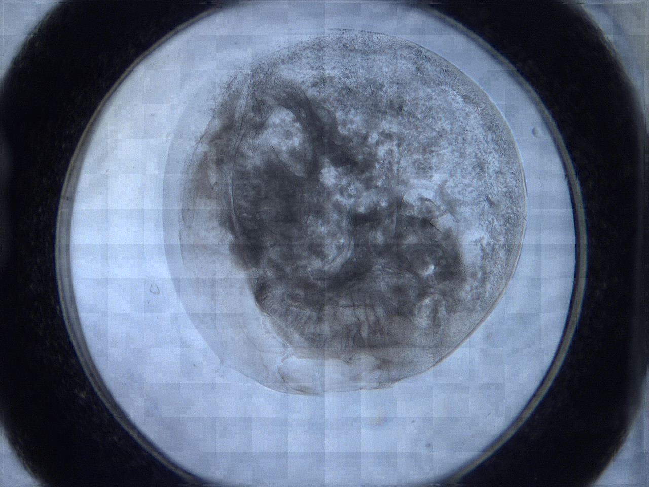 0621_B9_ImagerDefaults_3.jpg