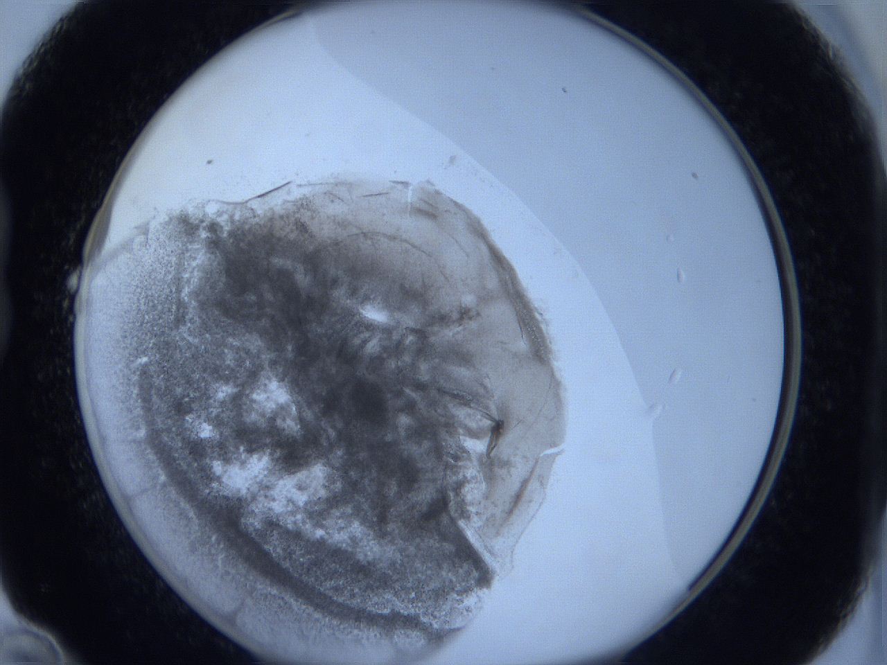 0621_B10_ImagerDefaults_3.jpg