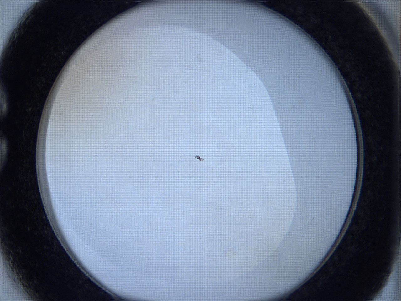 0621_C3_ImagerDefaults_0.jpg