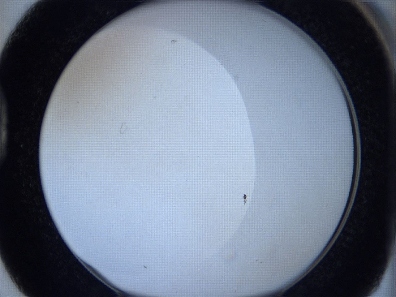 0621_D2_ImagerDefaults_0.jpg