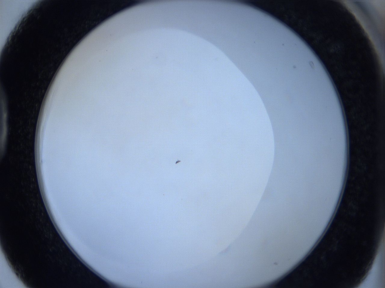 0621_D3_ImagerDefaults_0.jpg