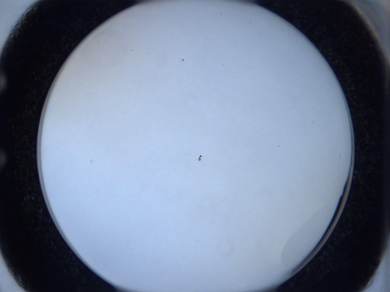 0621_E2_ImagerDefaults_0.jpg