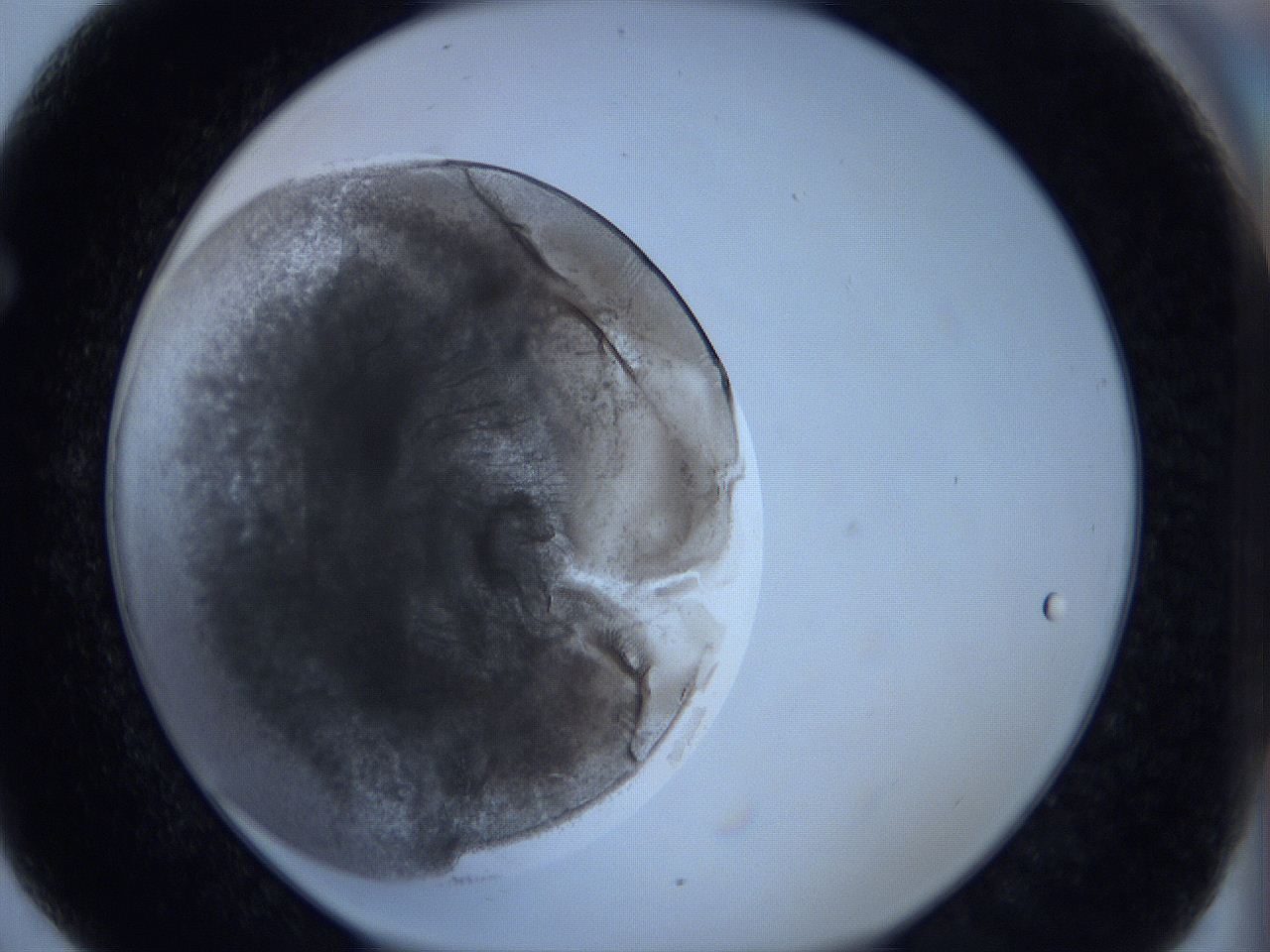 0621_F6_ImagerDefaults_4.jpg