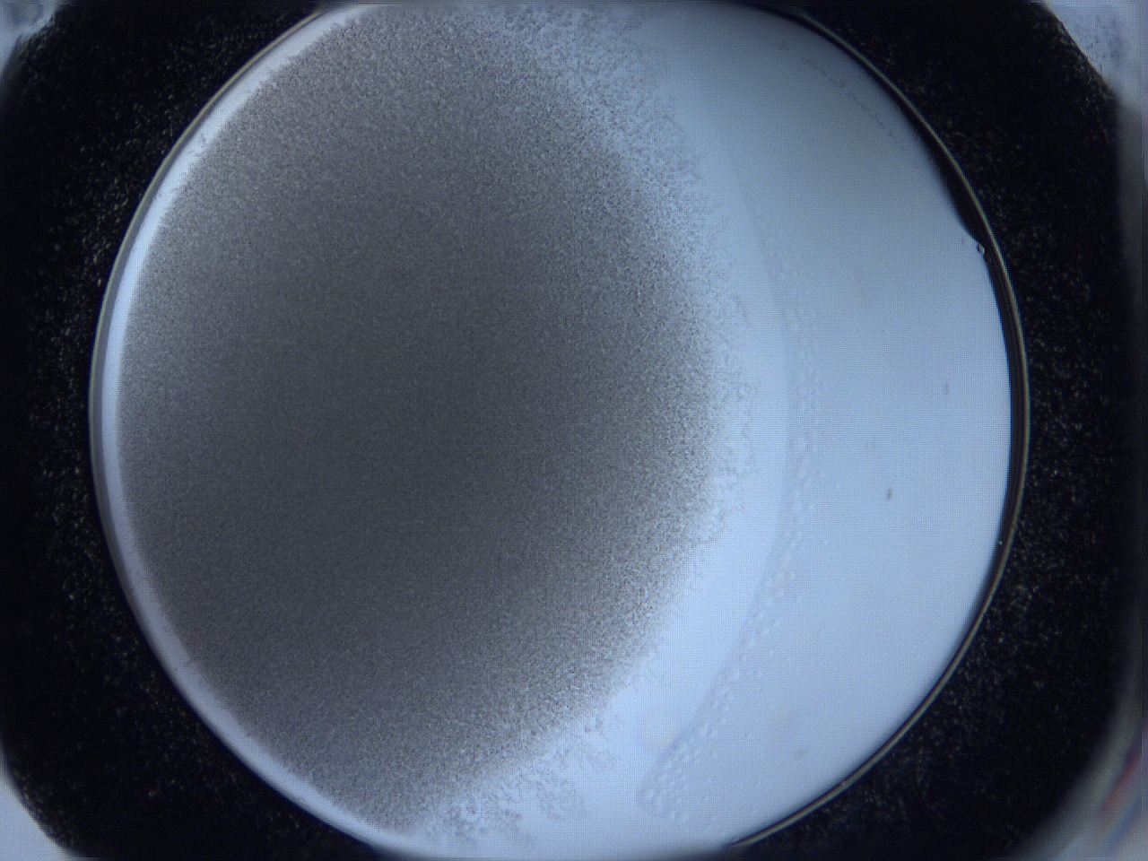 0621_F11_ImagerDefaults_0.jpg