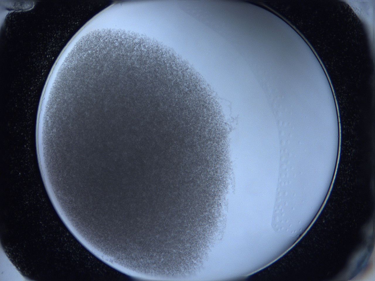 0621_F12_ImagerDefaults_0.jpg