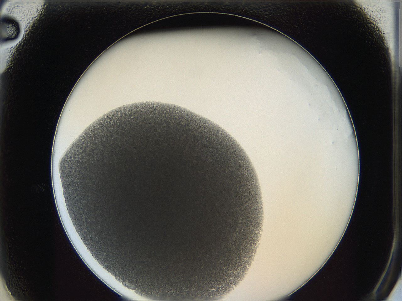 0622_A2_ImagerDefaults_4.jpg