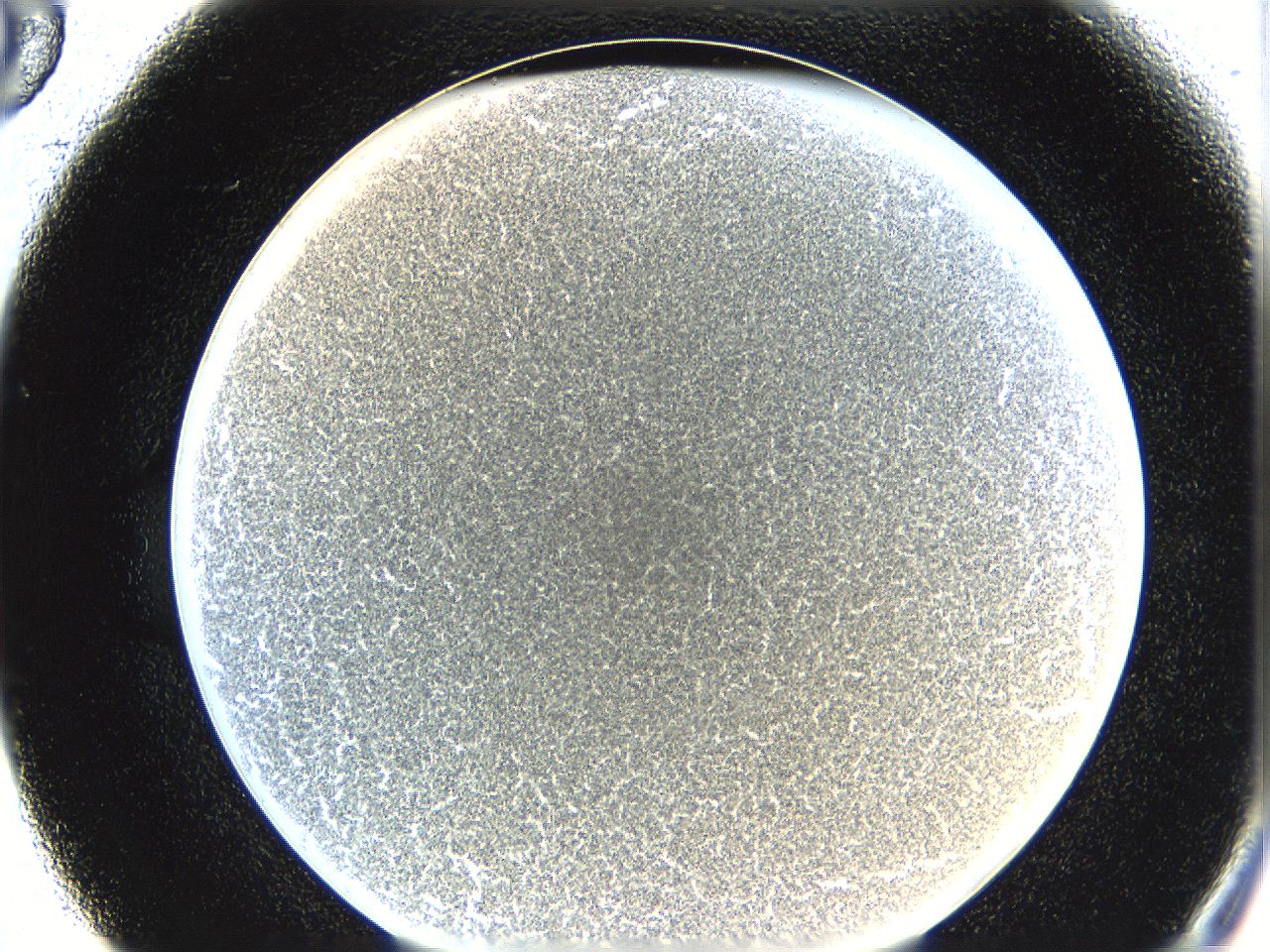 0622_B5_ImagerDefaults_4.jpg