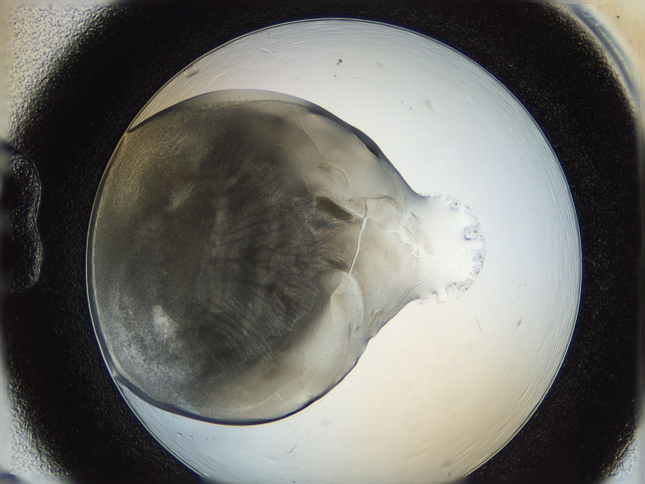 0622_B6_ImagerDefaults_3.jpg