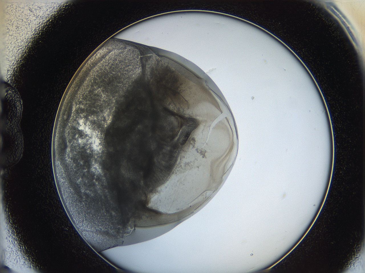 0622_B9_ImagerDefaults_3.jpg