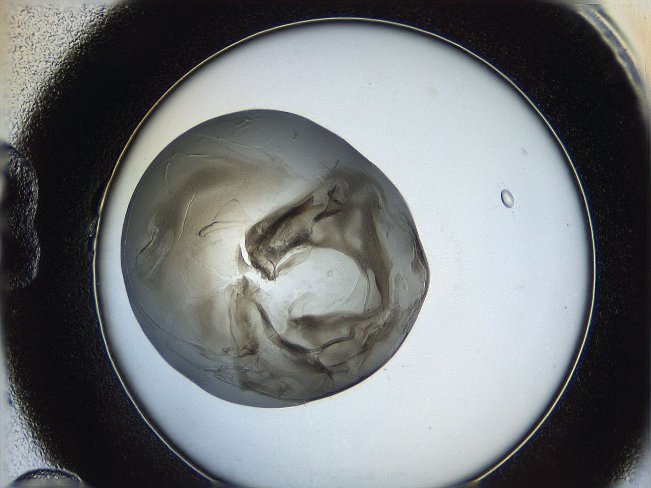 0622_B10_ImagerDefaults_3.jpg
