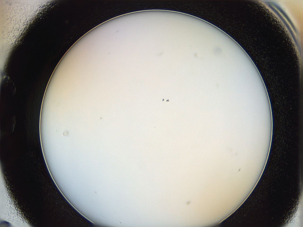 0622_C5_ImagerDefaults_0.jpg